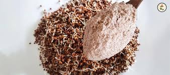 Paithrka sprouted ragi flour packed in a sealed pouch, made from 100% natural finger millet, rich in fibre, protein, and calcium.